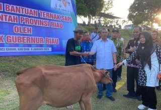 Photo of Pemprov Riau Serahkan 1.883 Ekor Sapi untuk 10 Daerah